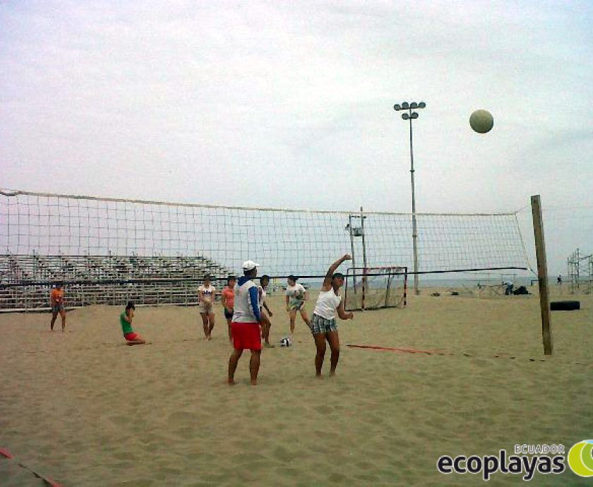 Cursos de voleibol en la playa