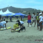 Se dieron clases de Surf en la playa San Lorenzo