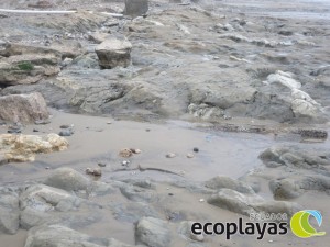 Playa el Murciélago 