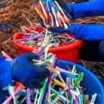 ¿Cepillos de dientes altos contaminantes de las playas?