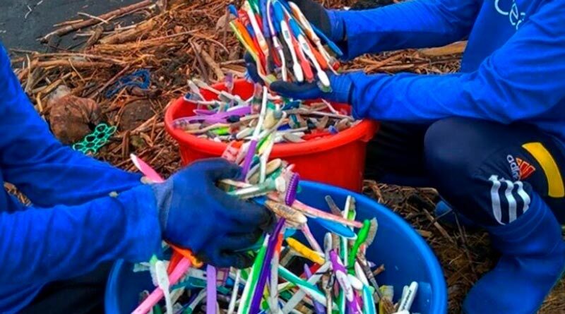 Cepillos-de-dientes-altos-contaminantes-de-las-playas