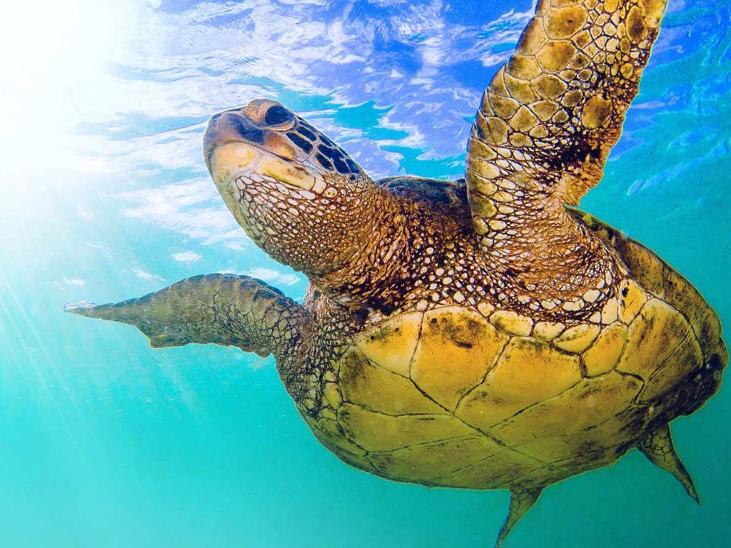 ecoplayas-ecuador