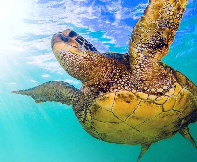 ecoplayas-ecuador