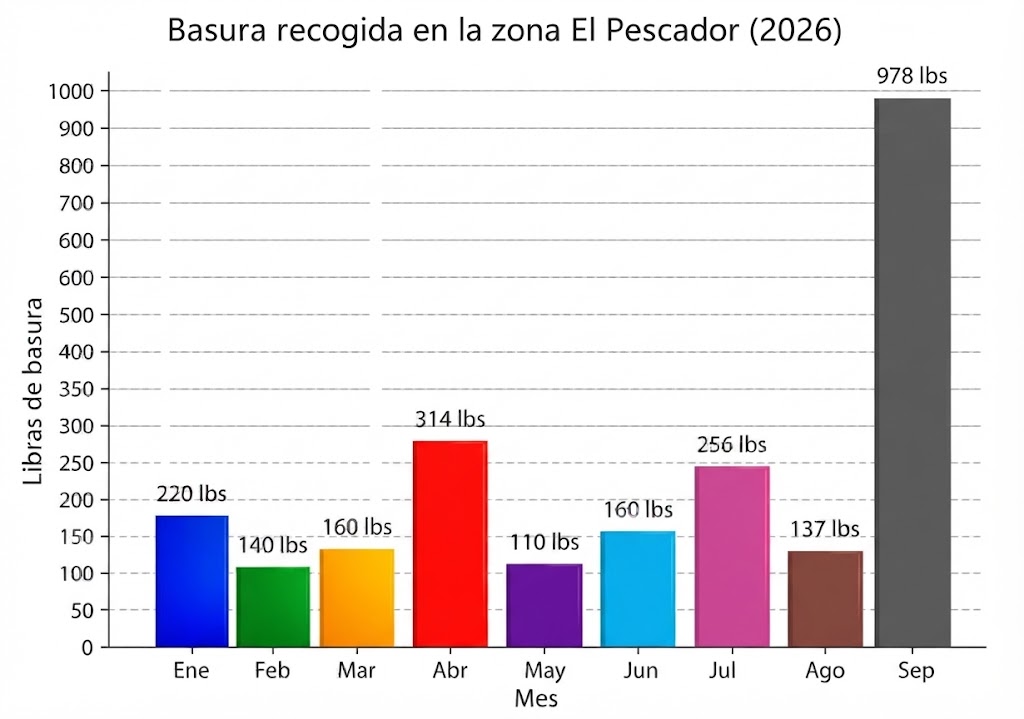 mingas ecoplayas 2026