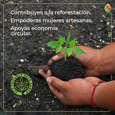 contribuyes a la reforestación ecuadorianhands